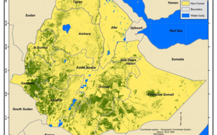 ethiopia-forest-reference-level-FRL