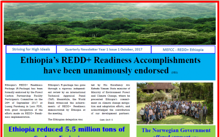 REDD+ Ethiopia Newsletter