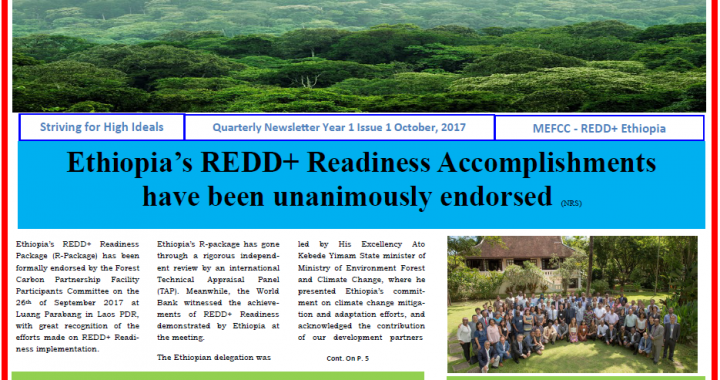 REDD+ Ethiopia Newsletter